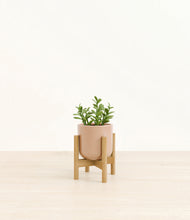 Load image into Gallery viewer, Glossy Pink stand:bamboo
