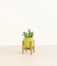 Load image into Gallery viewer, Key Lime Yellow stand:bamboo
