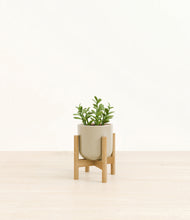 Load image into Gallery viewer, Sage Green stand:bamboo
