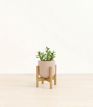 Load image into Gallery viewer, Sandy Pink stand:bamboo
