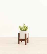 Load image into Gallery viewer, Cotton White stand:walnut
