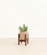 Load image into Gallery viewer, Glossy Pink stand:walnut
