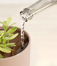 Load image into Gallery viewer, Sandy Pink stand:all
