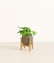 Load image into Gallery viewer, Olive stand:bamboo
