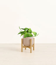 Load image into Gallery viewer, Eternal Gray stand:bamboo
