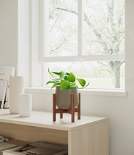 Load image into Gallery viewer, Olive stand:walnut
