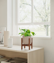 Load image into Gallery viewer, Eternal Gray stand:walnut
