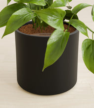 Load image into Gallery viewer, Black stand:all
