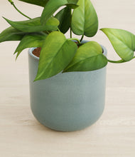 Load image into Gallery viewer, Reactive Aqua stand:all
