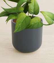 Load image into Gallery viewer, Iron Gray stand:all
