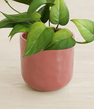 Load image into Gallery viewer, Hammered Rose Pink stand:all
