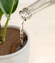 Load image into Gallery viewer, Hammered Ivory stand:all
