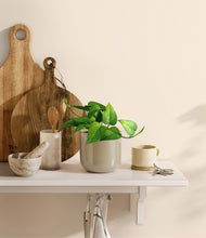 Load image into Gallery viewer, Sage Green
