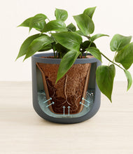 Load image into Gallery viewer, Iron Gray
