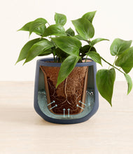 Load image into Gallery viewer, Deep Navy stand:all
