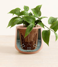 Load image into Gallery viewer, Calm Rose stand:all
