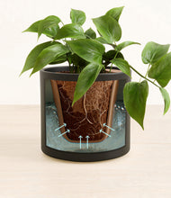 Load image into Gallery viewer, Black stand:all
