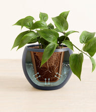 Load image into Gallery viewer, Deep Navy stand:all
