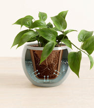 Load image into Gallery viewer, Deep Ocean stand:all
