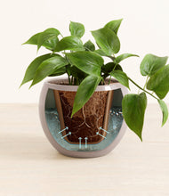 Load image into Gallery viewer, Winter Clouds stand:all
