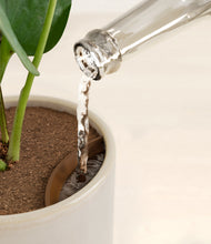 Load image into Gallery viewer, Snowdrift White stand:all
