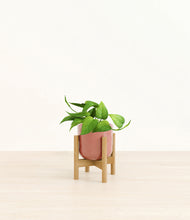 Load image into Gallery viewer, Hammered Rose Pink stand:bamboo
