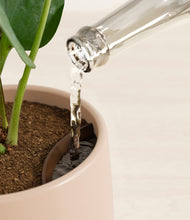 Load image into Gallery viewer, Gentle Pink stand:all
