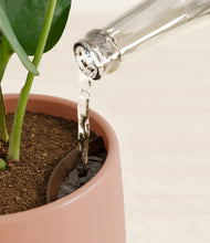 Load image into Gallery viewer, Calm Rose stand:all
