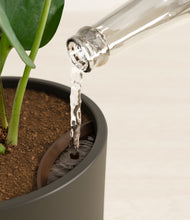 Load image into Gallery viewer, Dark Olive stand:all
