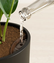 Load image into Gallery viewer, Black stand:all
