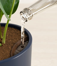 Load image into Gallery viewer, Deep Navy stand:all
