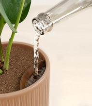 Load image into Gallery viewer, -
