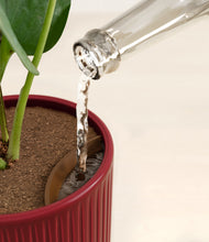 Load image into Gallery viewer, Striped Cherry Red stand:all
