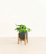 Load image into Gallery viewer, Iron Gray stand:bamboo
