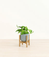 Load image into Gallery viewer, Misty Blue stand:bamboo
