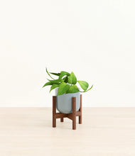 Load image into Gallery viewer, Misty Blue stand:walnut
