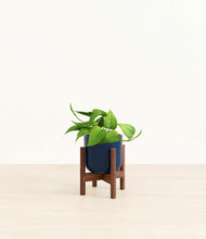 Load image into Gallery viewer, Twilight Blue stand:walnut
