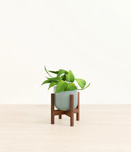 Load image into Gallery viewer, Reactive Aqua stand:walnut
