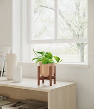 Load image into Gallery viewer, Glossy Pink stand:walnut
