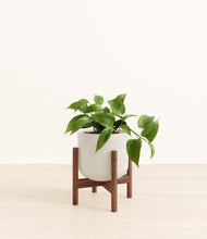 Load image into Gallery viewer, Natural Bamboo stand:walnut
