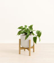 Load image into Gallery viewer, Natural Bamboo stand:bamboo
