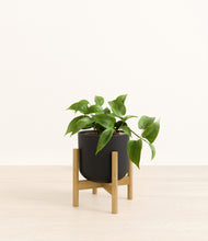 Load image into Gallery viewer, Stone Black stand:bamboo
