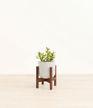 Load image into Gallery viewer, Hammered Ivory stand:walnut
