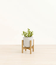 Load image into Gallery viewer, Hammered Ivory stand:bamboo
