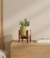 Load image into Gallery viewer, Almond Green stand:walnut
