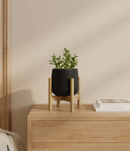 Load image into Gallery viewer, Black stand:bamboo

