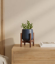 Load image into Gallery viewer, Deep Navy stand:walnut
