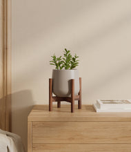 Load image into Gallery viewer, Eternal Gray stand:walnut
