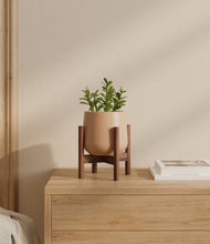 Load image into Gallery viewer, Gentle Pink stand:walnut
