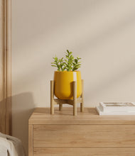 Load image into Gallery viewer, Mustard stand:bamboo
